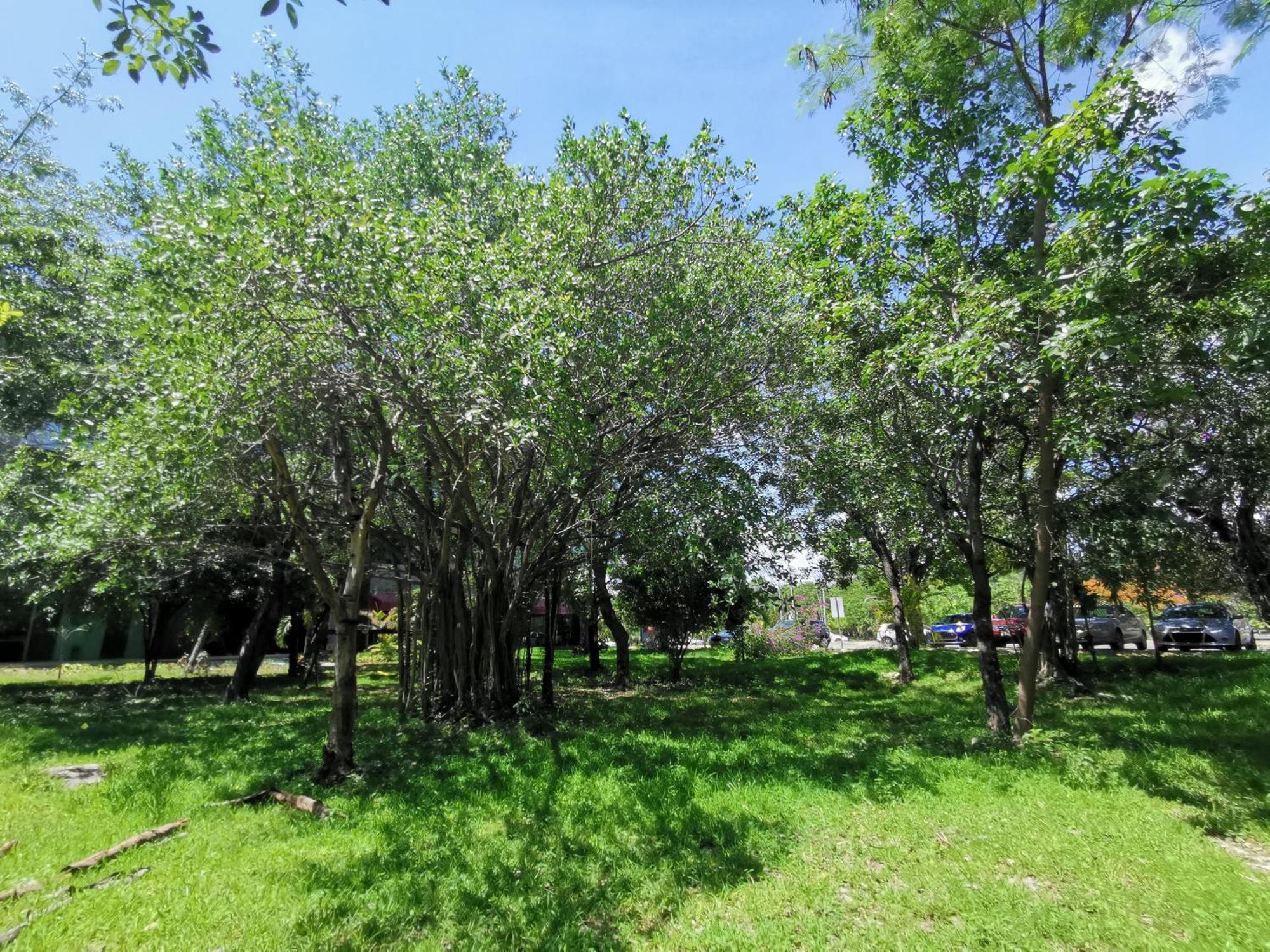 Beautiful & Cozy Near Beach Apartment Pool & Kingsize Bed Cancun Phòng bức ảnh
